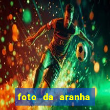 foto da aranha mais feia do mundo